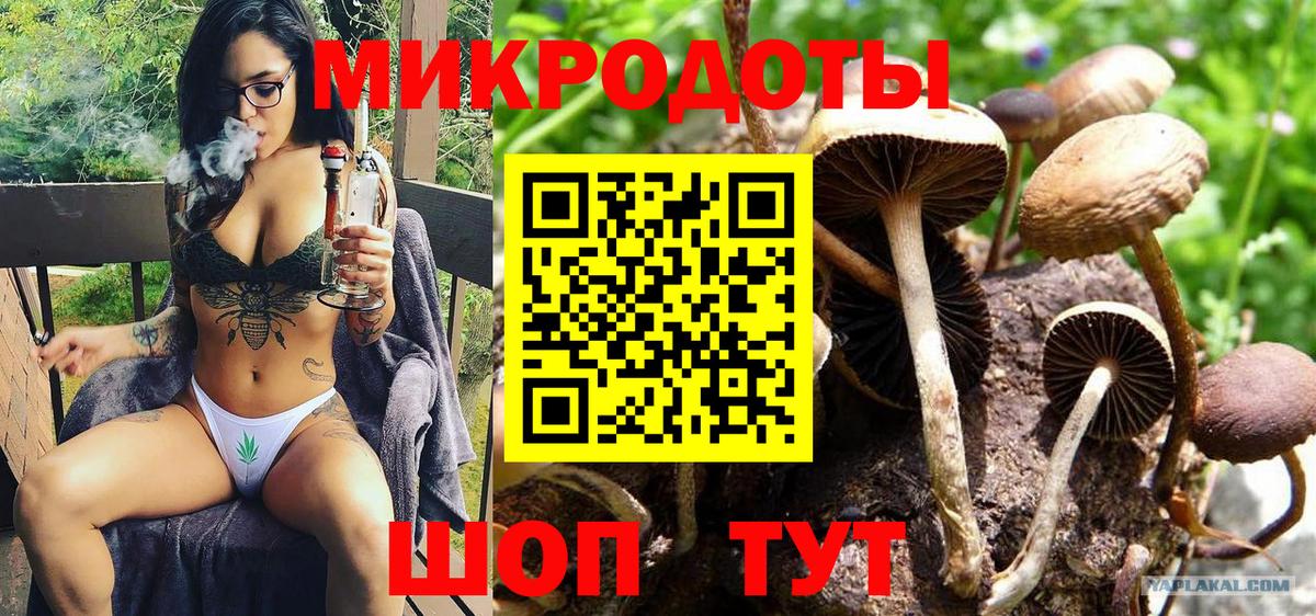 Оренбург  Псилоцибиновые грибы прущие грибы  Вход с VPN 